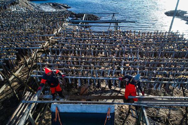 豪斯：綠軍的替補(bǔ)會比上賽季更好 他們每個(gè)人都在繼續(xù)進(jìn)化